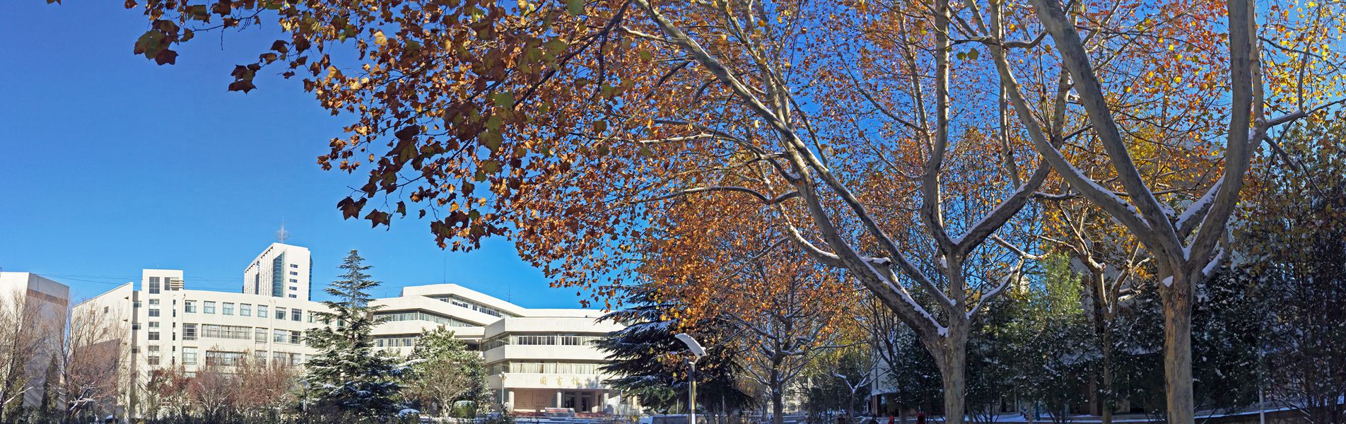 山东财经大学
